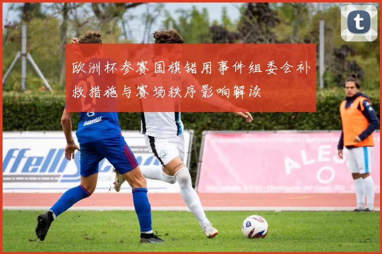 欧洲杯参赛国旗错用事件组委会补救措施与赛场秩序影响解读