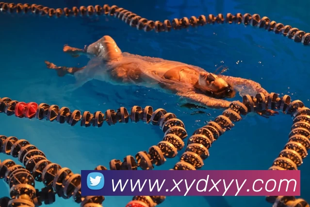 安博平台 - 安博(中国)一站式服务平台品牌故事